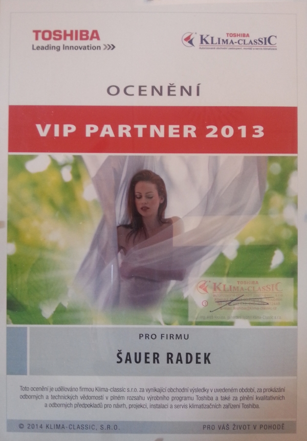 VIP partner 2013